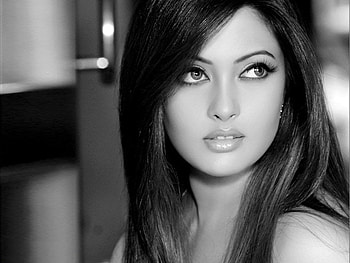Riya Sen, Brunette, Brunettes, Beauty HD wallpaper