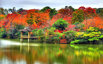 Small Dock at Autumn Lake, colorful, graphy, attractions in dreams, panoramic view, reflections, love four seasons, lakes, trees, autumn, nature, fall season HD wallpaper
