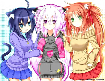 Cute Anime Neko Girl HD wallpaper