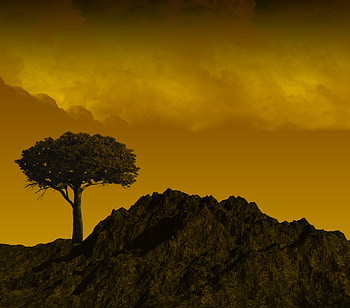 Sunset Scenery, shadows, scenery, clouds, trees, nature, mountains, sunset HD wallpaper