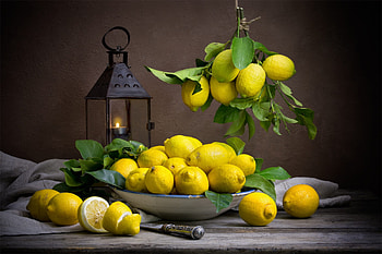 Lemon , Citrusy freshness, Yellow zest, Vibrant and lively HD wallpaper