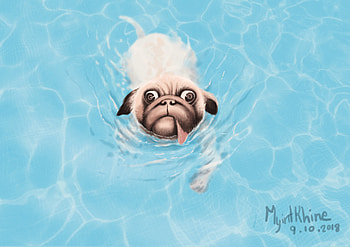 Water, Art, Dog, Protruding Tongue, Tongue Stuck Out, Bulldog HD wallpaper