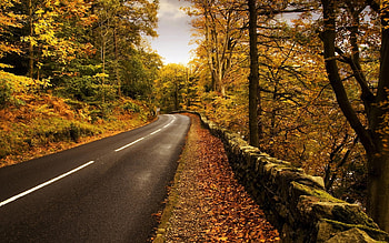 Landscape, Roads, Autumn HD wallpaper