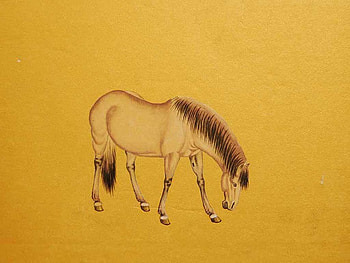 Horse, animal, drawing, yellow HD wallpaper
