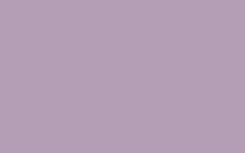 Purple solid color . HD wallpaper