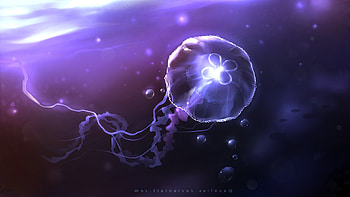 Queen Jellyfish, creative, graphics HD wallpaper