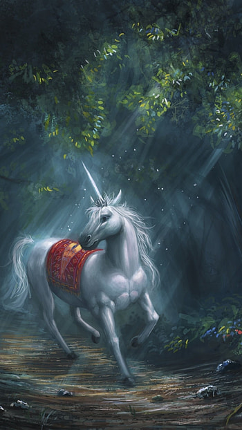 Unicorn, Horse, Cute Horse HD phone wallpaper