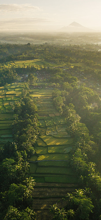 Indonesian , Stunning backgrounds, s, Incredible beauty HD phone wallpaper