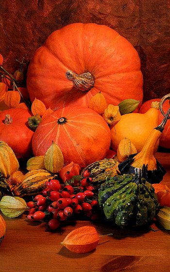 Autumn Still Life, leaf, pumpkin, fall, graphy, still life HD phone wallpaper