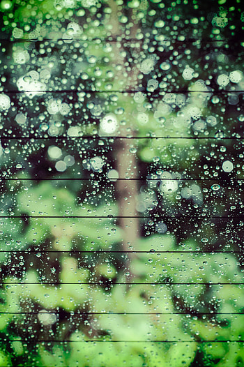 Drops, Macro, Wet, Blur, Smooth, Glass, Bokeh, Boquet HD phone wallpaper