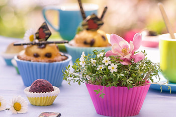 Spring Morning, milk, summer, breakfast, good morning, nature, flowers, cupcakes HD wallpaper