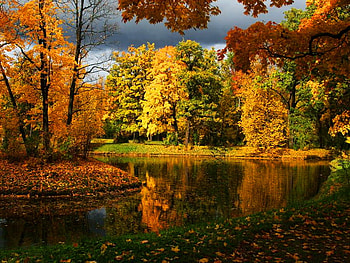 Colorful autumn, colorful, fall, trees, colors, autumn, nature, forest, lake HD wallpaper