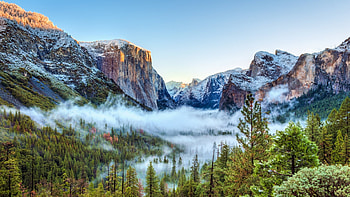 Yosemite National Park,USA, fog, trees, nature, mountains, usa HD wallpaper