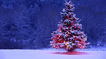 Simple Christmas HD wallpaper