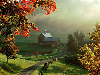 House, Nature, Trees, Autumn, Lake, Fog, Meadows HD wallpaper
