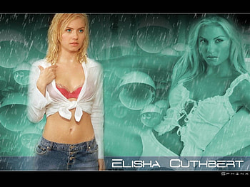 elisha cuthbert, women, models, actresses HD wallpaper
