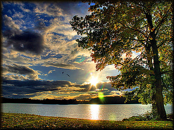 Tranquil day, morning, clouds, trees, peaceful, lake, sunrise HD wallpaper