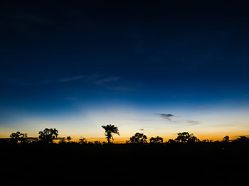 Nature, Sky, Night, Clouds, Palms, Horizon, Dark HD wallpaper