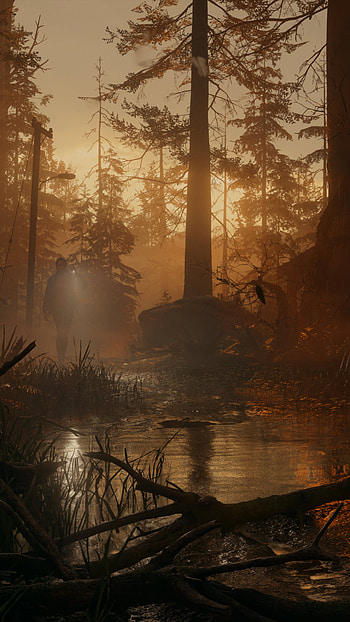 Alan Wake 2 Mystical Forest for s, video game HD phone wallpaper
