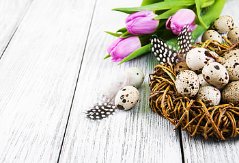 egg, holiday, Easter HD wallpaper