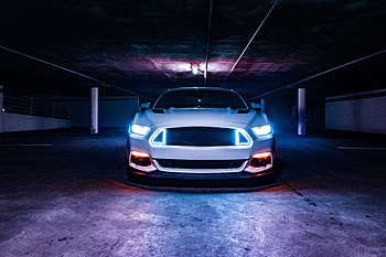 Sports, Ford, Cars, Sports Car, Ford Mustang, Shelby Mustang HD wallpaper