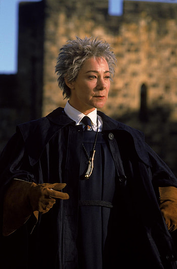 Madame Hooch movies, Madam Hooch portrayal, Fan Zone, Character representation HD phone wallpaper