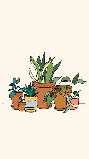 Lush Houseplant Collection , houseplant, artistic, plant HD phone wallpaper