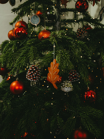 Holidays, New Year, Decorations, Christmas, Holiday, Christmas Tree HD phone wallpaper