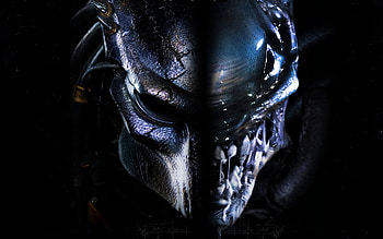 Predator world, , Thrilling encounters, Terrifying creature HD wallpaper