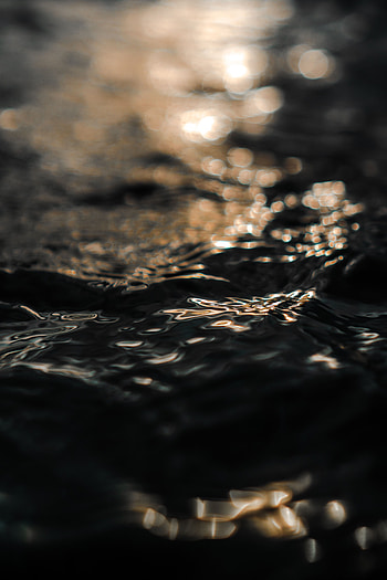 Water, Macro, Ripples, Ripple, Surface, Wave HD phone wallpaper