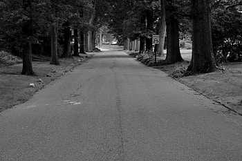 Right Down The Line, beautiful neighborhood, scenic, street, road, old road HD wallpaper
