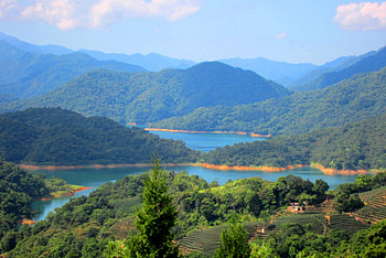 Scenic lake, beautiful, mountains, tea plantations HD wallpaper