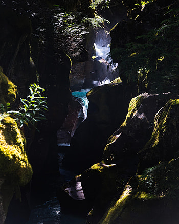 Nature, Water, Rocks, Waterfall, Branches, Gorge HD phone wallpaper