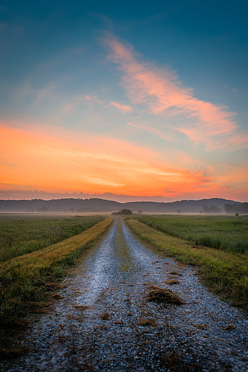 Nature, Grass, Road, Hills, Dahl, Distance HD phone wallpaper