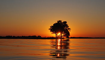 A peaceful sunset scene with tree reflection on a tranquil lake. HD wallpaper