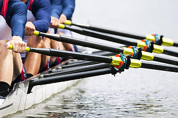 Rowing 101, Difference, Rowing, Sculling HD wallpaper