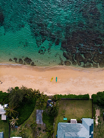Nature, Sea, Beach, Palms, Boats, View From Above HD phone wallpaper