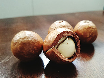 Macadamias, Macadamia nut, Pilar cyst, Dr Pimple Popper HD wallpaper