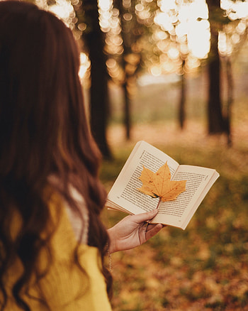 Autumn, Hand, Miscellanea, Miscellaneous, Blur, Smooth, Book, Leaflet HD phone wallpaper