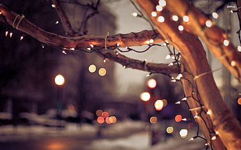 35 Stars at Xmas Background , Cards or HD wallpaper
