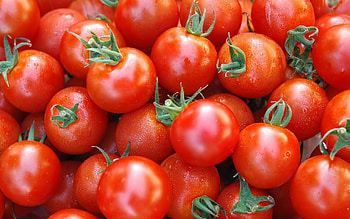 Tomato , backgrounds, , Visual inspiration HD wallpaper