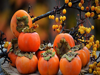 Fresh Berries, Autumn, Berries, Food, Branches HD wallpaper