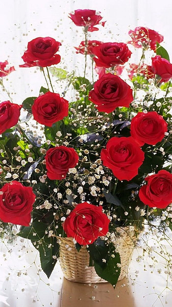 Beautiful Flowers Roses, Red Flower, Bunch HD phone wallpaper