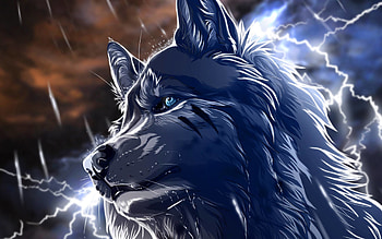Anime wolf | HD wallpaper