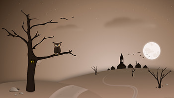 Bird, Art, Night, Owl, Vector, Wood, Tree HD wallpaper