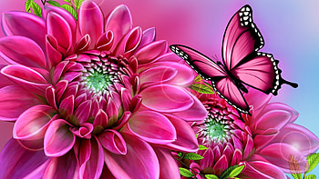 Flower and butterfly, Butterfly, Pink, Dahlia, Art HD wallpaper