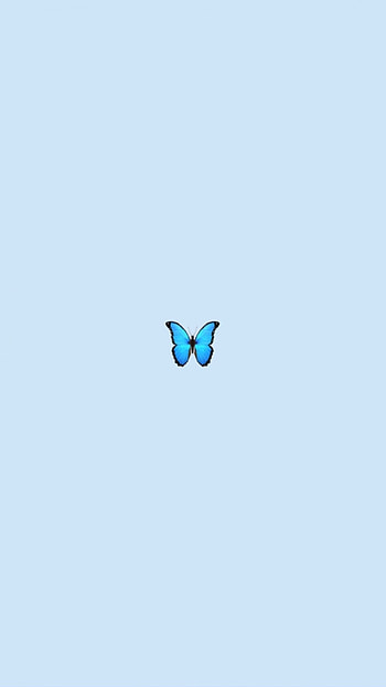 Cute Blue, Cute Blue Butterfly HD phone wallpaper