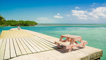 Scuba diving adventure, Underwater wonders, Colorful marine life, Dive into Belize HD wallpaper