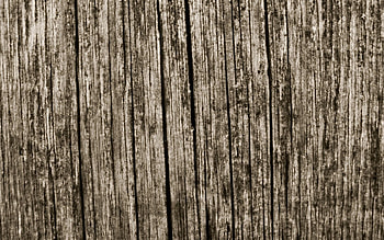 Wood, Tree, Texture, Textures, Cracks, Crack, Board HD wallpaper