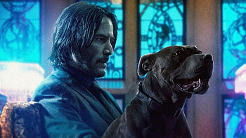 John Wick Chapter 3 Parabellum 2019 HD wallpaper